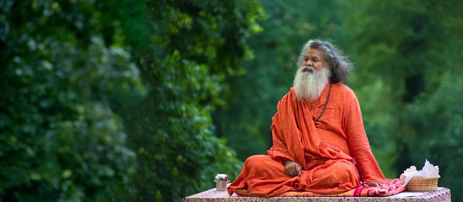 Višvagurudží Mahéšvaránanda na satsangu